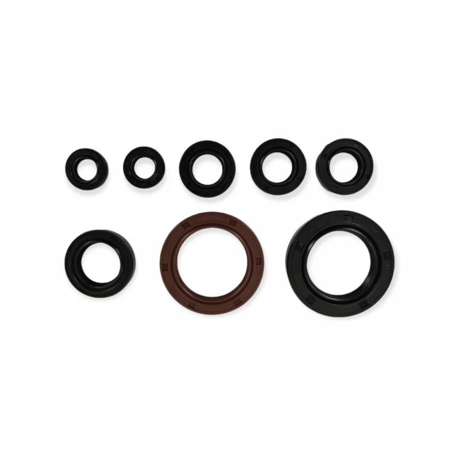 Holeshot Packboxsats Motor KTM 250 EXC-F 03-06 - m.fl.
