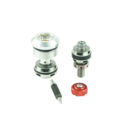 ORVS FF Piston Kit WP 43mm AER 18-21