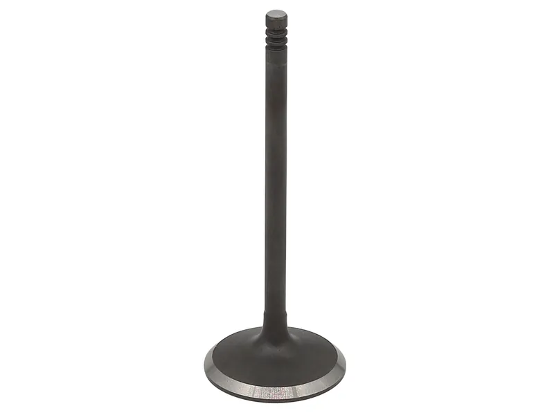 Bronco Insugsventil CF Moto 400 500 800 850 1000 2013-23