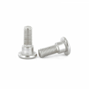 Moto-Master, Skiv Bult M8x22 1st, BAK FRAM