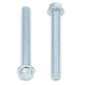 M6x1.0x45 8mm Hex Head Flange Bolt (10 pc, SVCFLANGE)